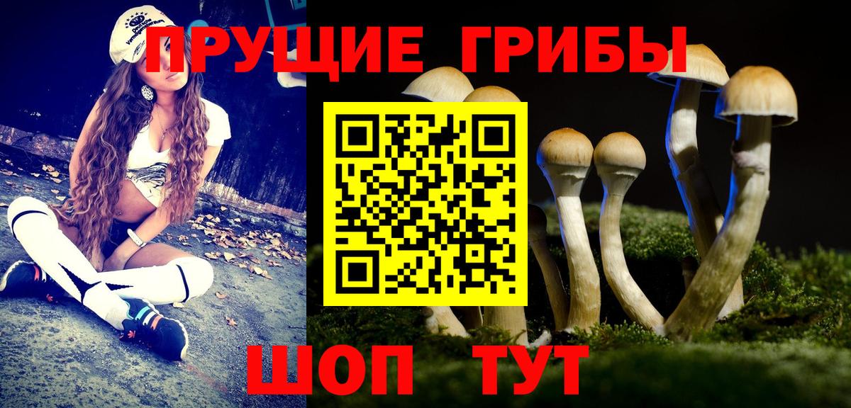 Ханты-Мансийск  Галлюциногенные грибы мицелий  Вход с VPN 